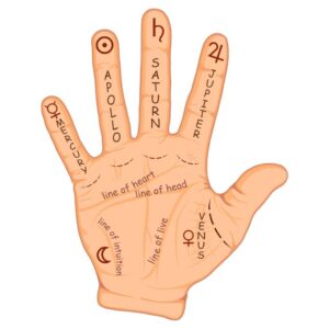 Palmistry Consultation